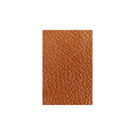 Chamois 04