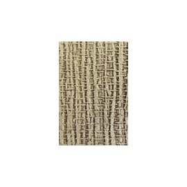 Root 729