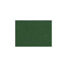 Geltex Color  Struktura 146 zelené, š.70cm