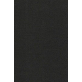 Anglické 10L 299 II.