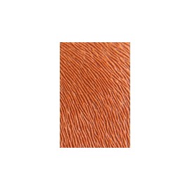 Squirell 727