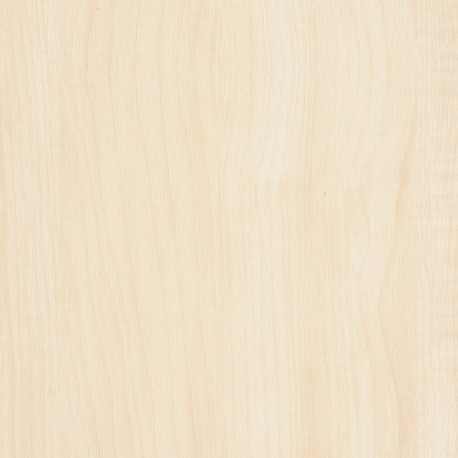 Maple 28550
