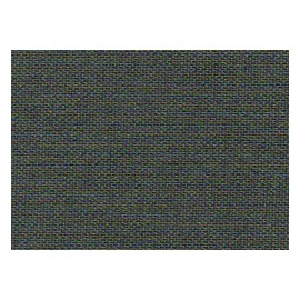 Savana 5950 E.