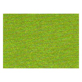 Louisiana 10060 E.