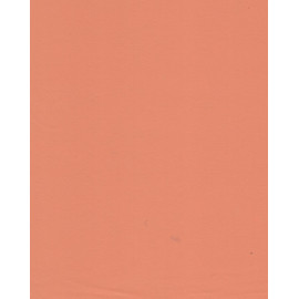 Casina 26080 - okr